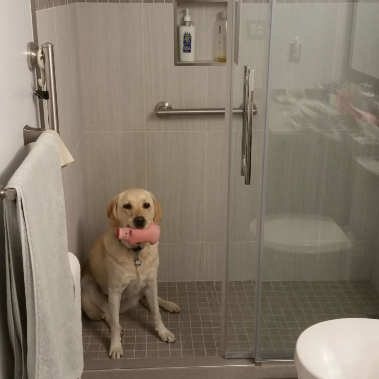 Grab bar installation reviews Grab Bar Guy Professional Grab Bar